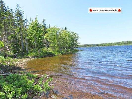Cape Breton - Wunderschönes See-Ufer-Areal mit 7,7