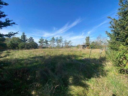 Blick auf Gesamtgrundstück