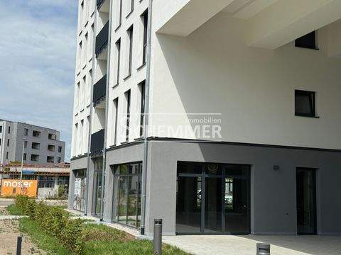 Freiburg im Breisgau Ladenlokale, Ladenflächen 