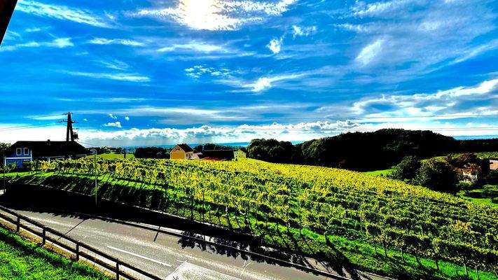 Wohnung in 8493 Klöch