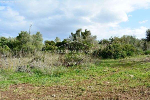 ...noch mehr Platz...