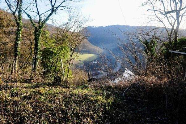 416171228_419959853740072_8847943829175936852_n.jp