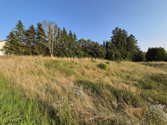 4d2c019a-7598-4b52-882d-ab64f57f29ce-1928688545