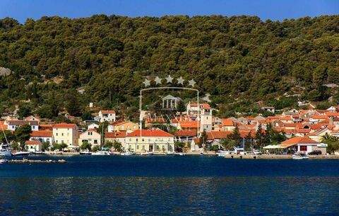 Iz - Rava Bauernhöfe, Landwirtschaft, Iz - Rava Forstwirtschaft