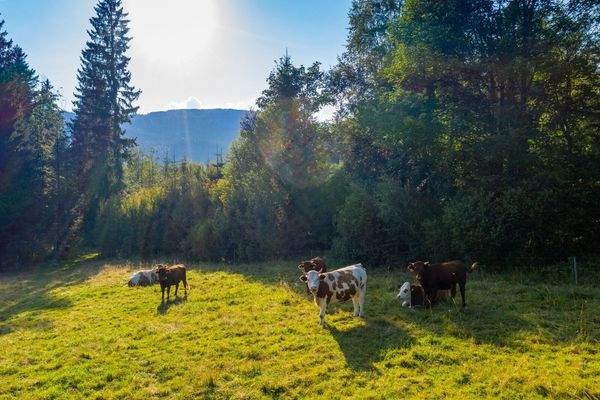 Naturnahes Wohnen und Erholen