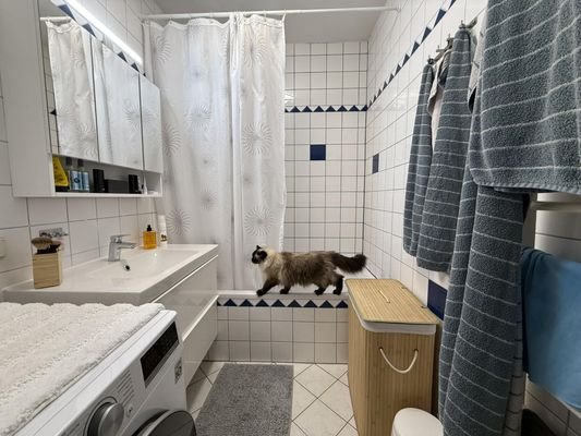 Bad (ohne Katze)