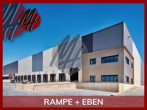 Bergheim Halle, Bergheim Hallenfläche