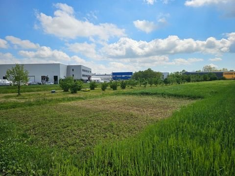 Bobovica Bauernhöfe, Landwirtschaft, Bobovica Forstwirtschaft