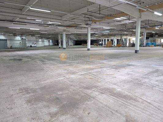 Hallenflächen