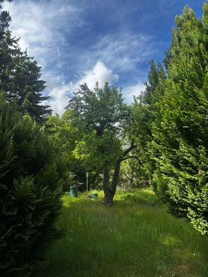 Ansicht 6
