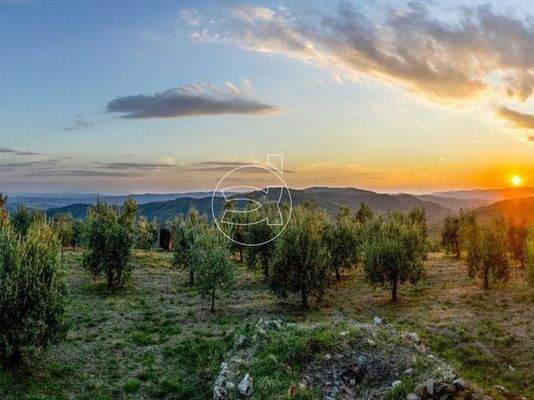 Luxus Anwesen | Civitella in Val di Chiana