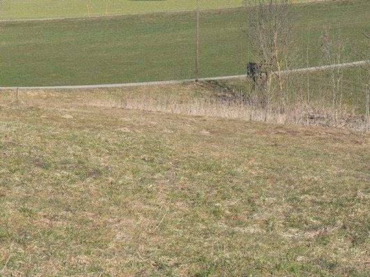 Bild 11 Ausblick im Winter