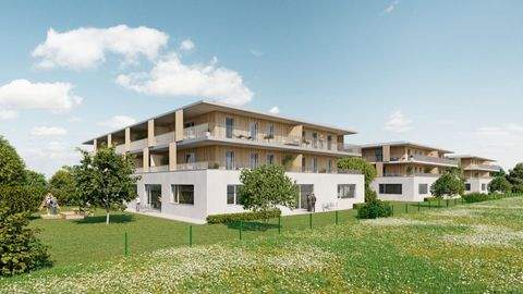 Wals Büros, Büroräume, Büroflächen 