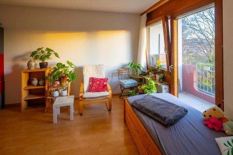 Freiburg im Breisgau Wohnungen, Freiburg im Breisgau Wohnung kaufen