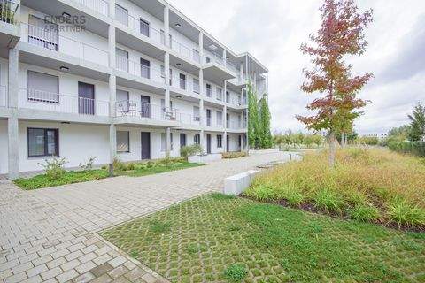 Trier Büros, Büroräume, Büroflächen 