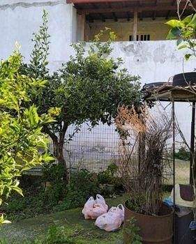 Kreta, Chani Alexandrou: Gebäude mit Wohnung und Lager zum Verkauf