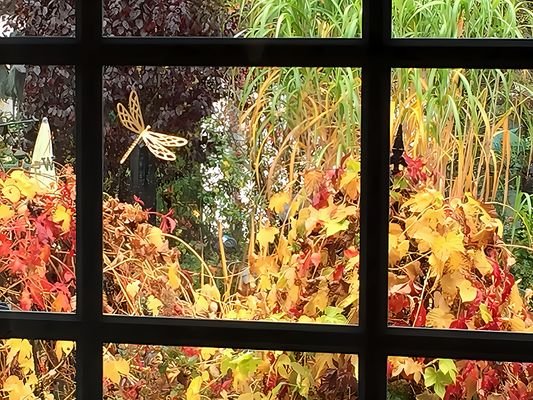 Fenster zum Garten