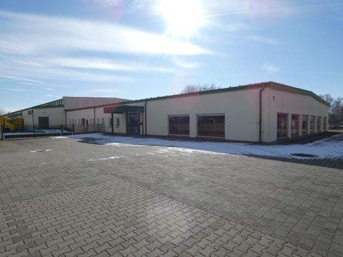 Herzberg (Elster) Halle, Herzberg (Elster) Hallenfläche