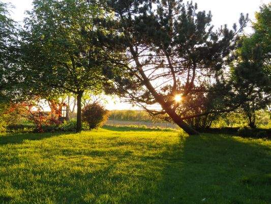 Der parkähnliche Garten bei Abendsonne