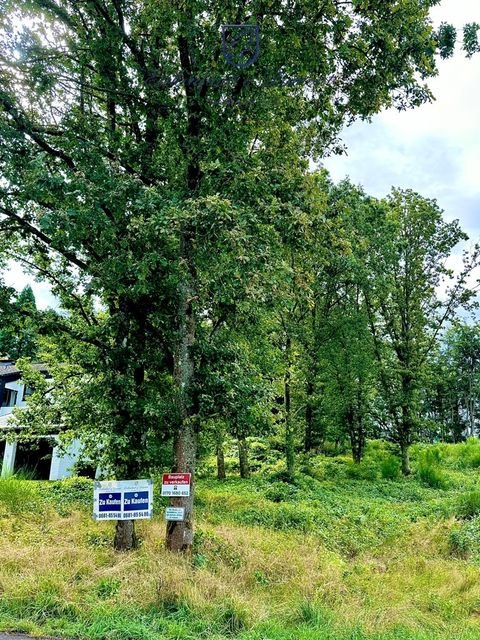 Neunkirchen Grundstücke, Neunkirchen Grundstück kaufen