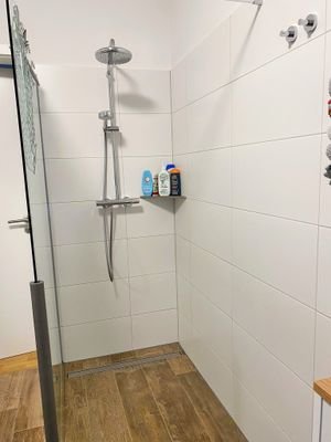 Bad, Bild 2 _ Regendusche.JPG