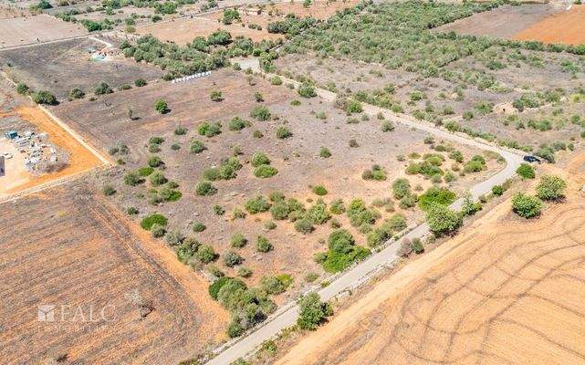 Grundstück-Cala Llombards-1