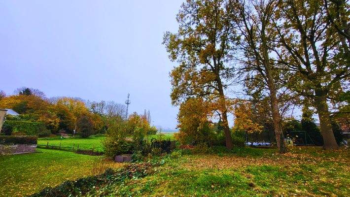 Blick vom Grundstück