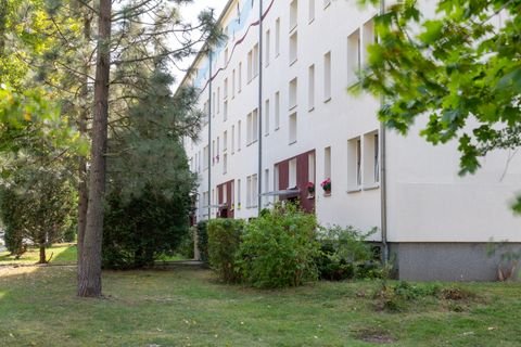 Bitterfeld-Wolfen Wohnungen, Bitterfeld-Wolfen Wohnung mieten