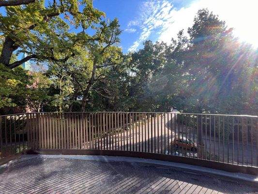 Balkone werden noch mit trop. Edelholz belegt