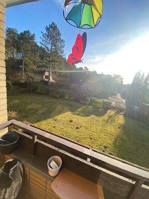 Blick in den Garten.jpg