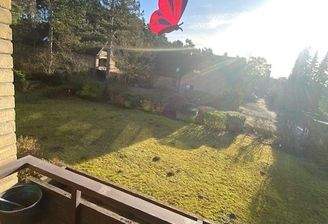 Blick in den Garten.jpg