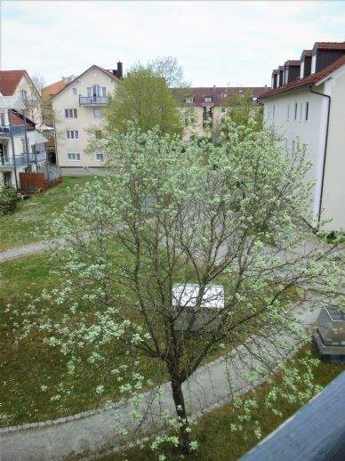 Garching an der Alz Wohnungen, Garching an der Alz Wohnung kaufen