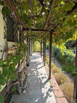 gepflegter Aussenbereich