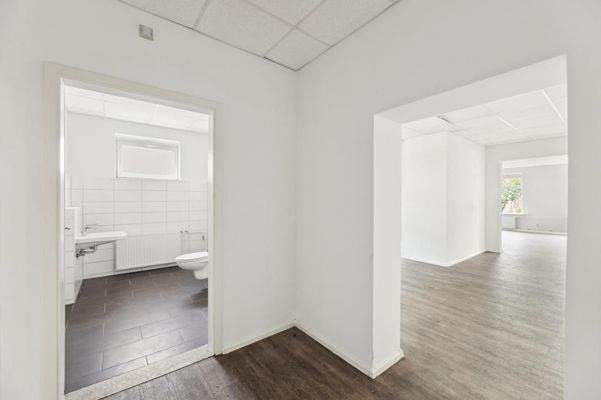 backbone_136337_031_WEB