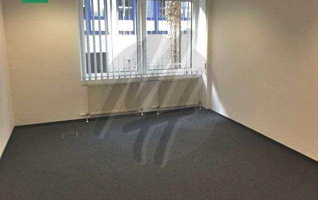 INFOS UNTER: 06171-586000