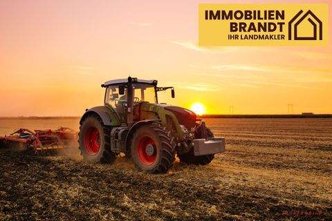 Gardelegen Bauernhöfe, Landwirtschaft, Gardelegen Forstwirtschaft