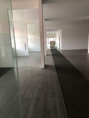 Bild8