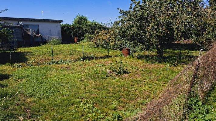 Außenansicht Garten