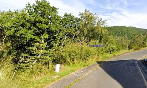 Schleiden Grundstücke, Schleiden Grundstück kaufen