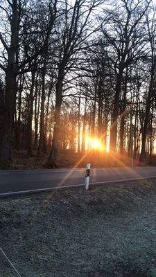 Blick aus dem WZ Fenster am Morgen