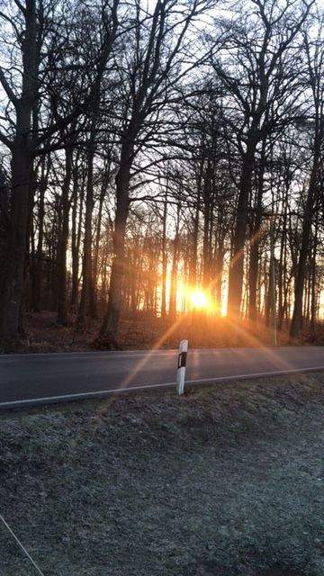 Graal-Müritz Häuser, Graal-Müritz Haus kaufen