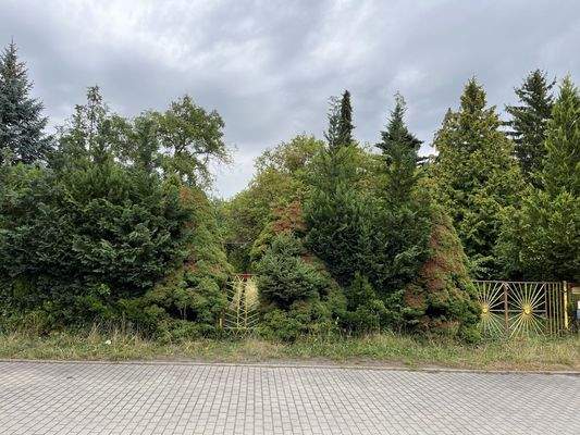 Blick auf das Grundstück