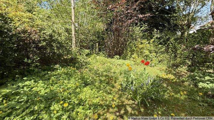 Impressionen Garten 03