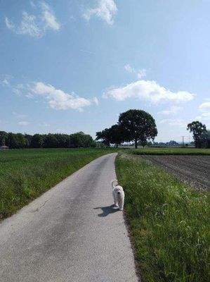 Wanderwege vor der neuen Haustür