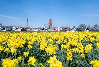 H072 Landschaft.jpg