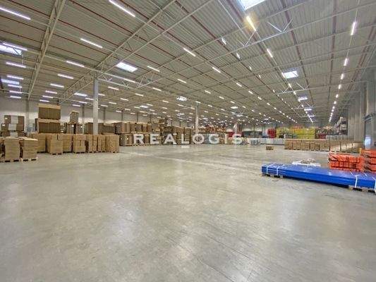 Innenansicht Hallenfläche