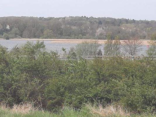 Blick nach Westen zum Peenestrom