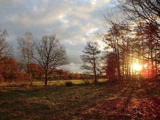 jede Menge Landschaft.JPG