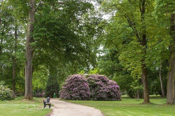 mags-Schmoelderpark_Mai-2020_web-3281