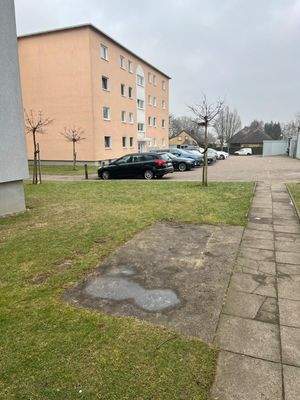 WhatsApp Image 2026-01-25 at 14.08.02 (1)